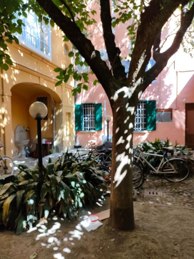 Il Sitarein Διαμέρισμα Μπολόνια Εξωτερικό φωτογραφία
